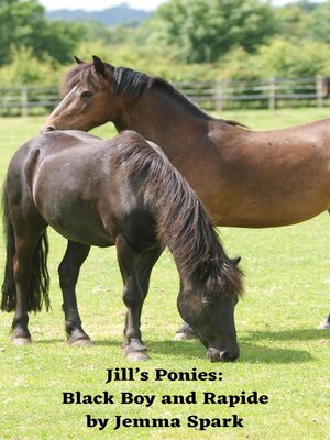 cover image of Jill's Ponies